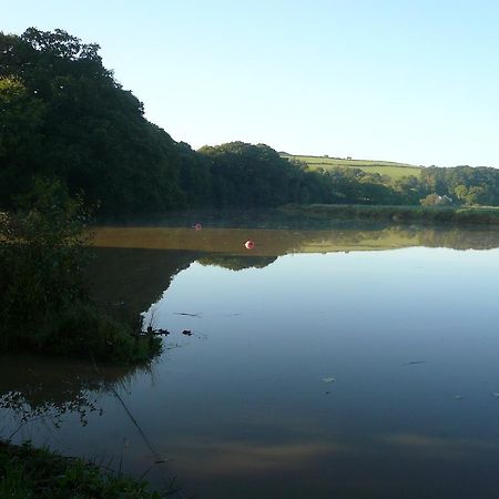 Rumleigh Farm Bere Alston Kültér fotó