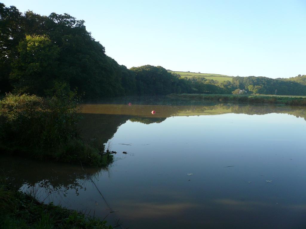 Rumleigh Farm Bere Alston Kültér fotó